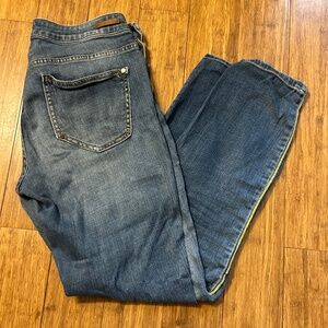 PILCRO Pilcro Jeans & the Letterpress Anthropologie Script Slim Straight 28